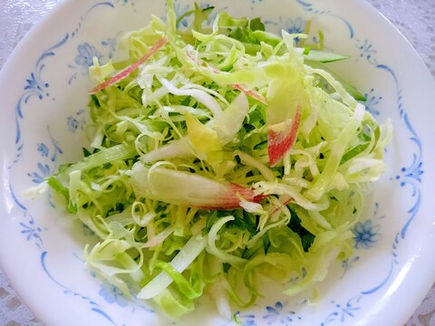 千切り野菜のサラダ